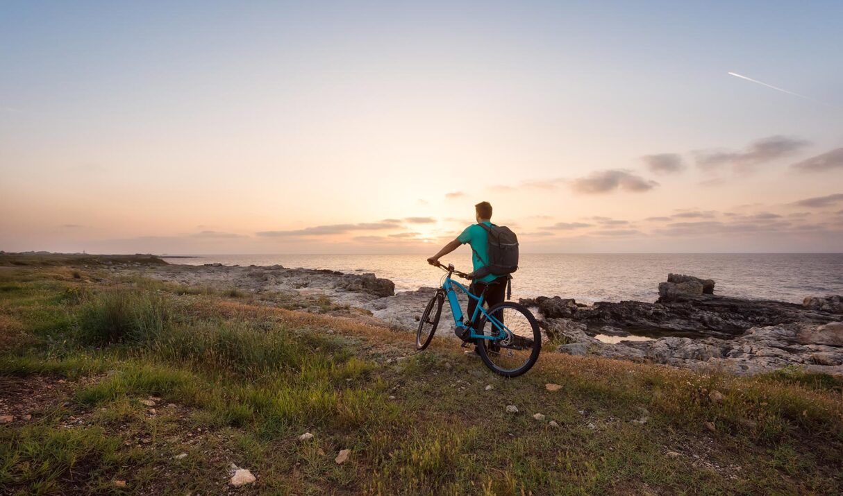 Linus Roadster Classic with black profile